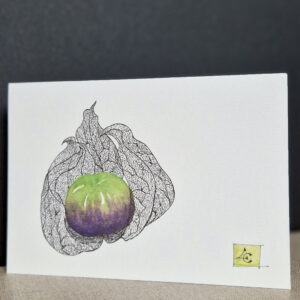 Dessin végétal d'un tomatillo peint à l'aquarelle sur une carte d'art, mettant en valeur ses couleurs fraîches et sa texture naturelle