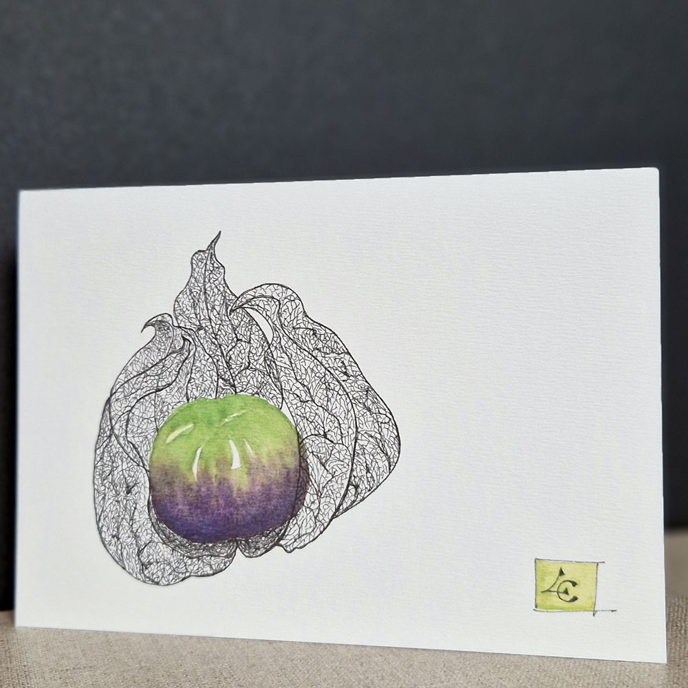 Tomatillo violet vert 1 Dessin végétal d'un tomatillo peint à l'aquarelle sur une carte d'art, mettant en valeur ses couleurs fraîches et sa texture naturelle