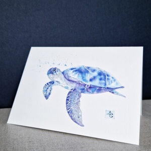 carte postale de tortue de mer