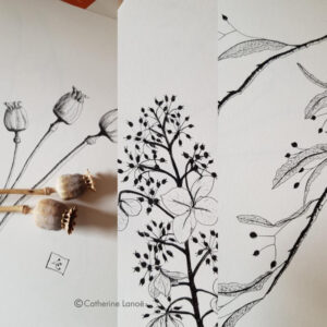 trio-encre-inspiration-cp-c